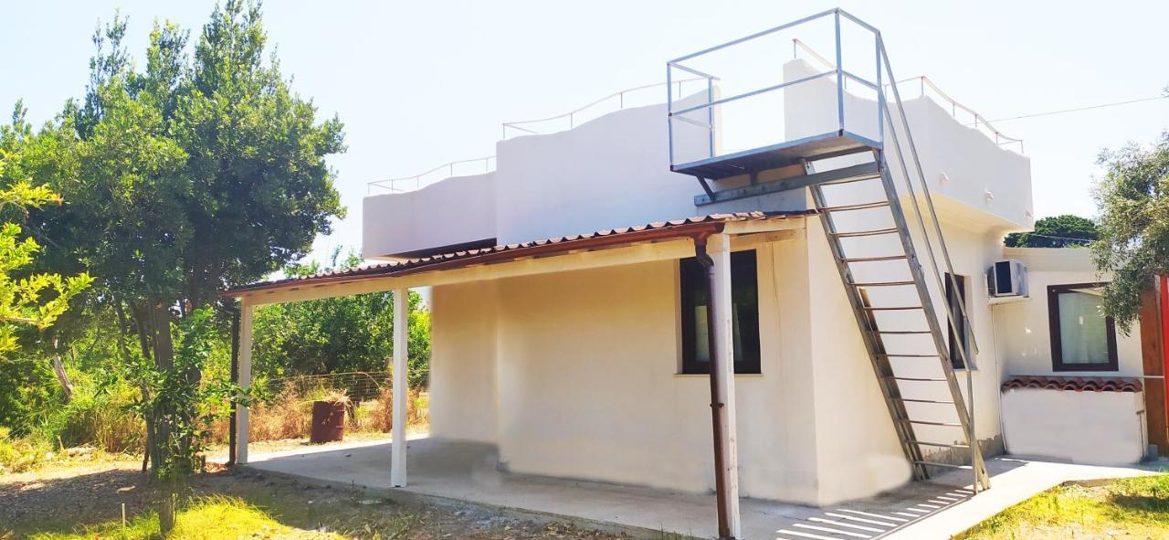 לינה וארוחת בוקר Torrenova  Casa Giada Sul Mare מראה חיצוני תמונה